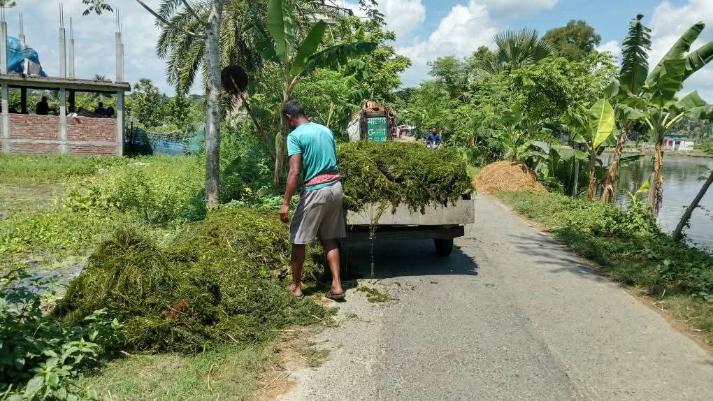 ছবি,- দৈনিক সমসাময়িক নিউজ। 
