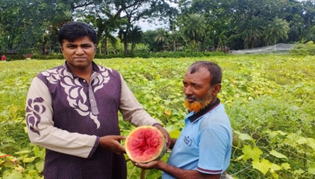 মণিরামপুরে বারোমাসে তরমুজ চাষে সাফল্য