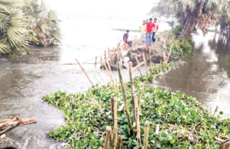 মনিরামপুরে বাঁধ ভেঙে হাজার বিঘা ফসলি জমি প্লাবিত ভেসে গেছে কোটি টাকার মাছ