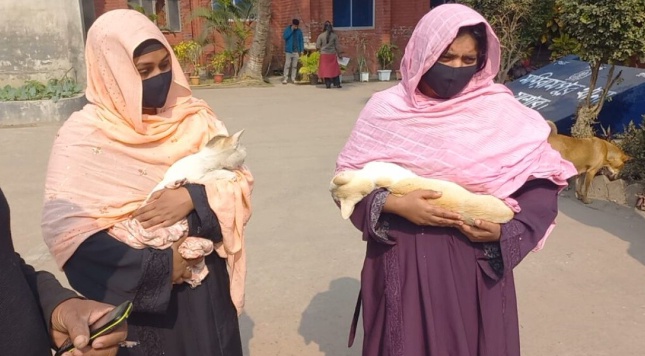 মণিরামপুরে বিড়াল মারধরের পর মৃত্যু, প্রাণিসম্পদ অফিসে মেলেনি চিকিৎসা, থানায় অভিযোগ