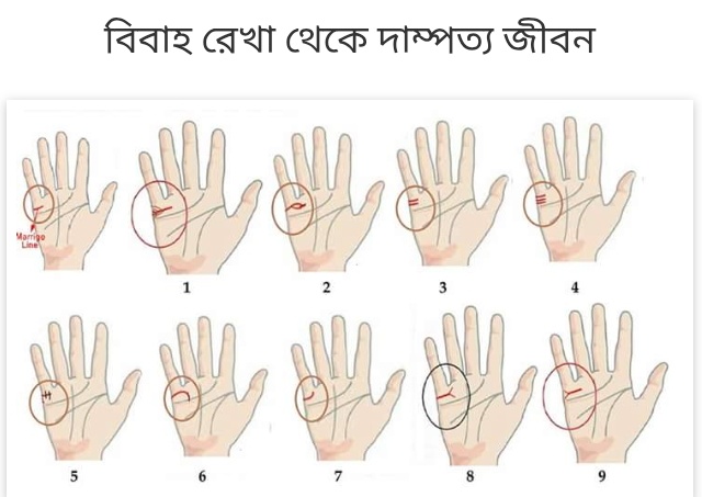 ফাইল ফটো 